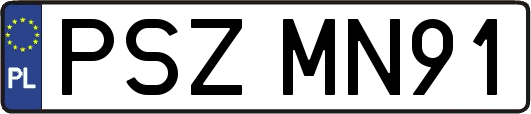 PSZMN91
