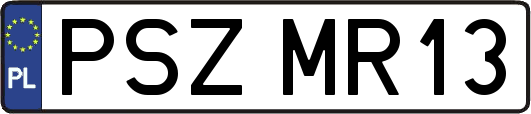 PSZMR13