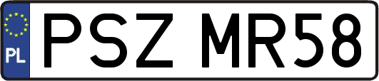 PSZMR58