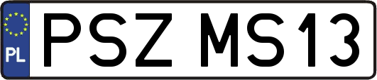 PSZMS13