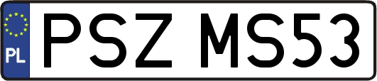 PSZMS53