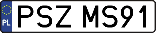 PSZMS91