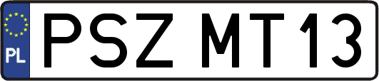 PSZMT13
