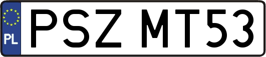 PSZMT53