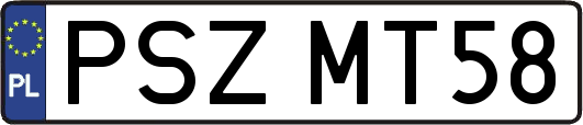 PSZMT58