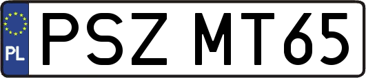 PSZMT65
