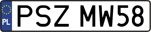 PSZMW58