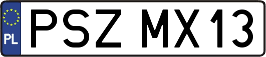 PSZMX13