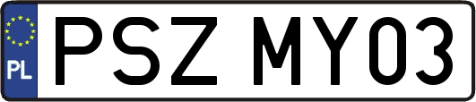 PSZMY03