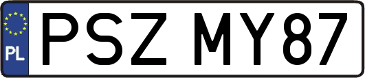 PSZMY87