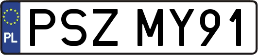 PSZMY91