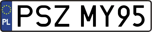 PSZMY95
