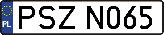 PSZN065