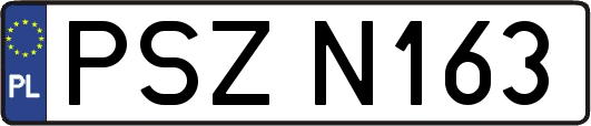 PSZN163