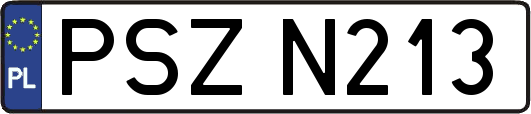 PSZN213