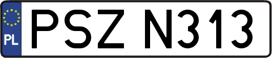 PSZN313