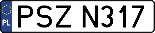 PSZN317