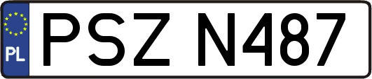 PSZN487