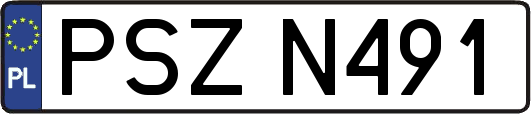 PSZN491