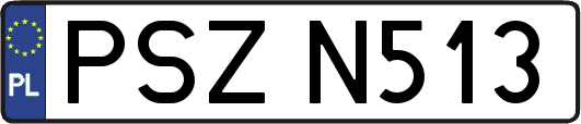 PSZN513