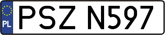 PSZN597