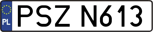 PSZN613