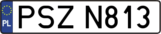 PSZN813