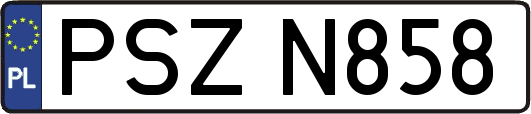 PSZN858