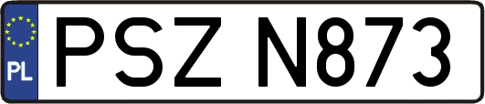 PSZN873