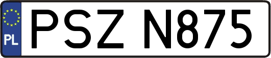 PSZN875