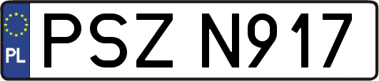 PSZN917