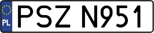PSZN951