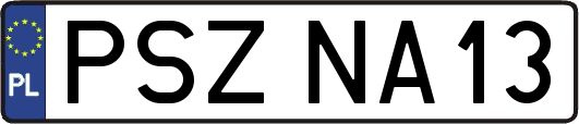 PSZNA13