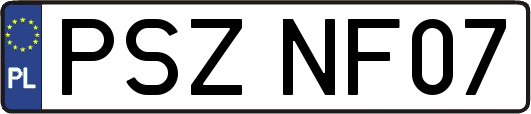 PSZNF07