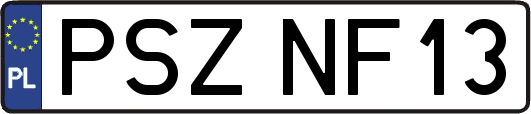 PSZNF13