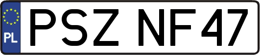 PSZNF47