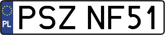 PSZNF51