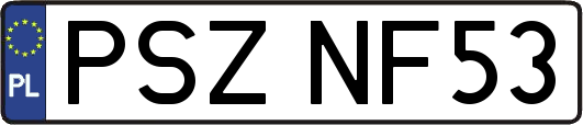 PSZNF53