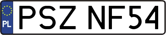 PSZNF54