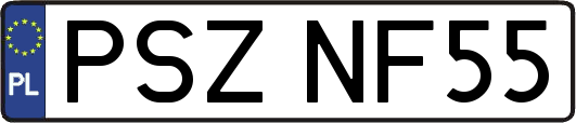 PSZNF55