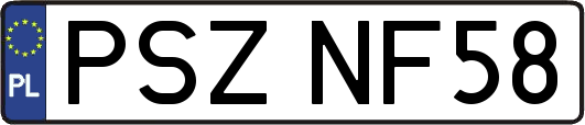 PSZNF58
