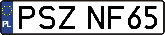 PSZNF65