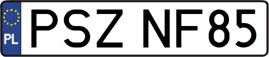 PSZNF85