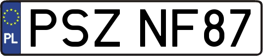 PSZNF87