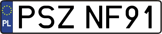 PSZNF91