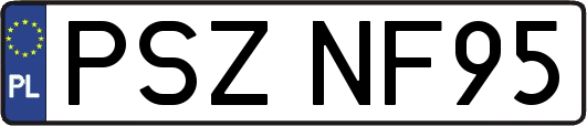 PSZNF95