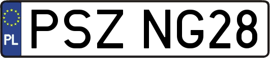 PSZNG28