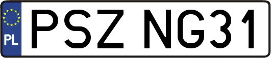 PSZNG31