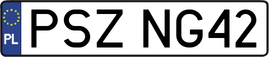 PSZNG42
