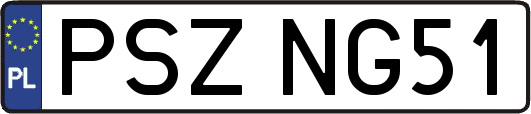 PSZNG51